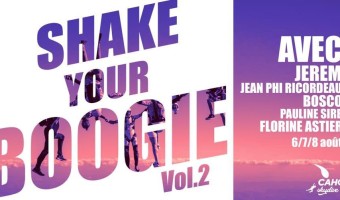 Shake your Boogie Vol.2