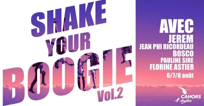 Shake your Boogie Vol.2
