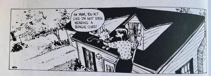 Sprunglehrer-Fortbildung